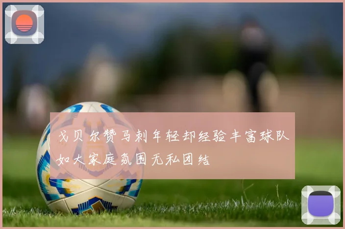 戈贝尔赞马刺年轻却经验丰富球队如大家庭氛围无私团结