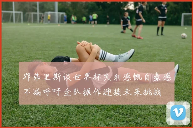 邓弗里斯谈世界杯失利感慨自豪感不减呼吁全队振作迎接未来挑战