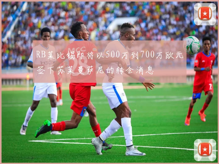 RB莱比锡即将以500万到700万欧元签下苏莱曼萨尼的转会消息